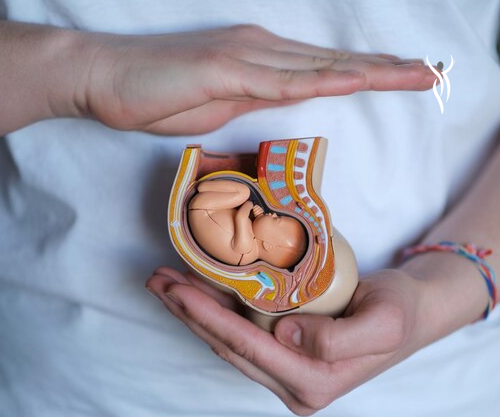 Tips for a Healthy First Trimester